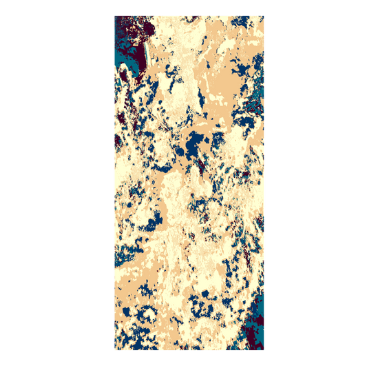 Sage Magnolia-Modern 4X6-Sh2286